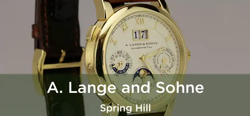 A. Lange and Sohne Spring Hill