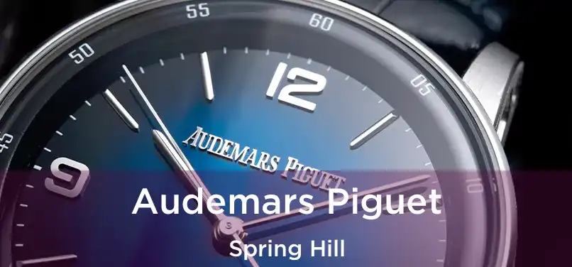 Audemars Piguet Spring Hill