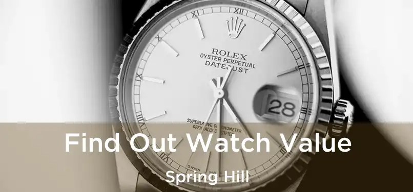 Find Out Watch Value Spring Hill