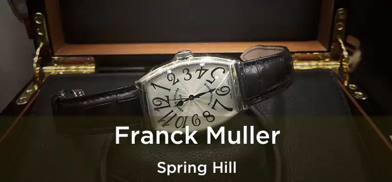 Franck Muller Spring Hill