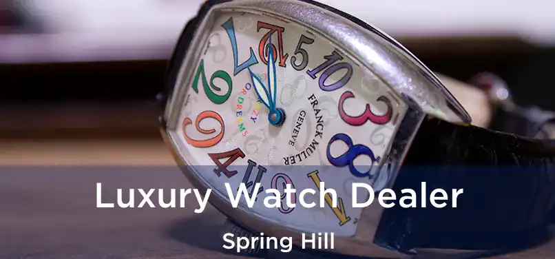 Luxury Watch Dealer Spring Hill