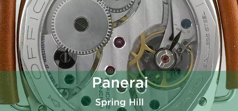 Panerai Spring Hill