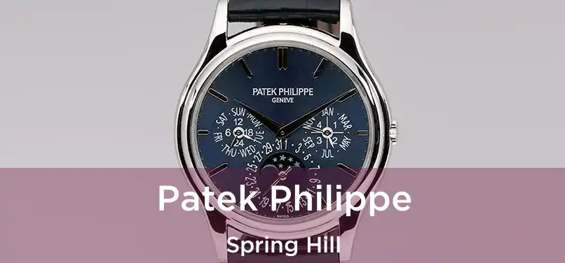 Patek Philippe Spring Hill