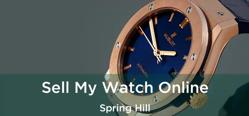 Sell My Watch Online Spring Hill