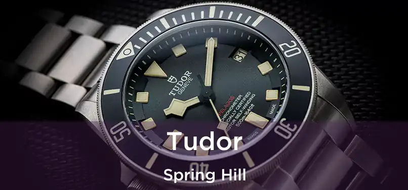 Tudor Spring Hill