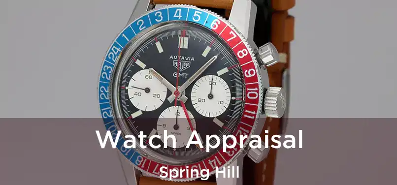 Watch Appraisal Spring Hill