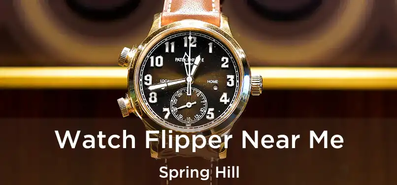 Watch Flipper Near Me Spring Hill