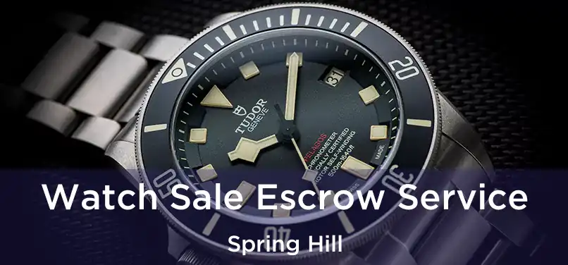 Watch Sale Escrow Service Spring Hill